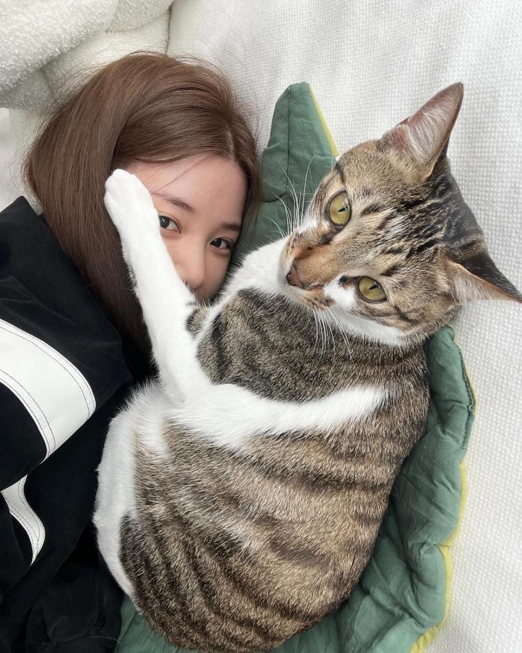 에이핑크 초롱1