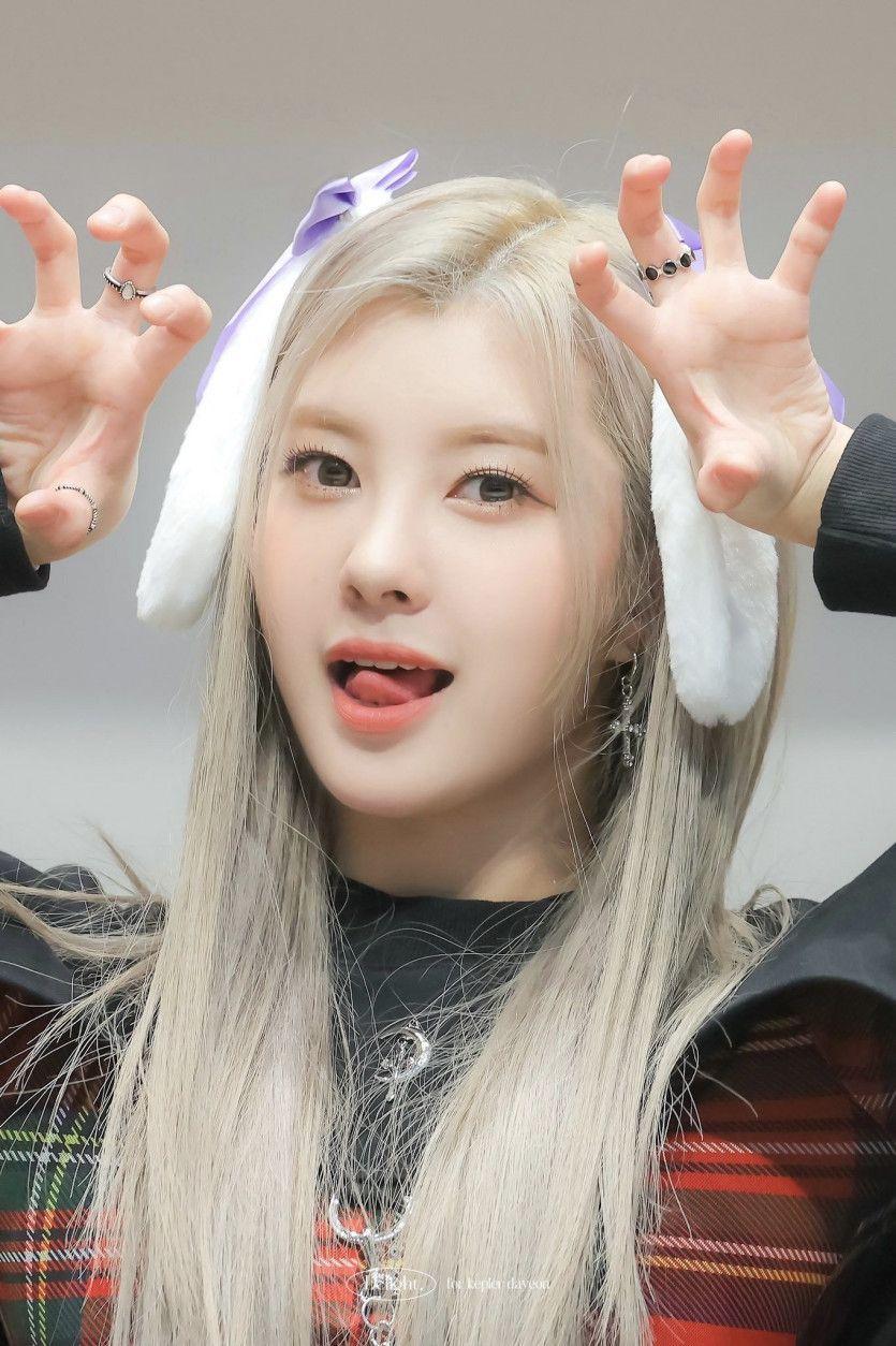 Kep1er 김다연0