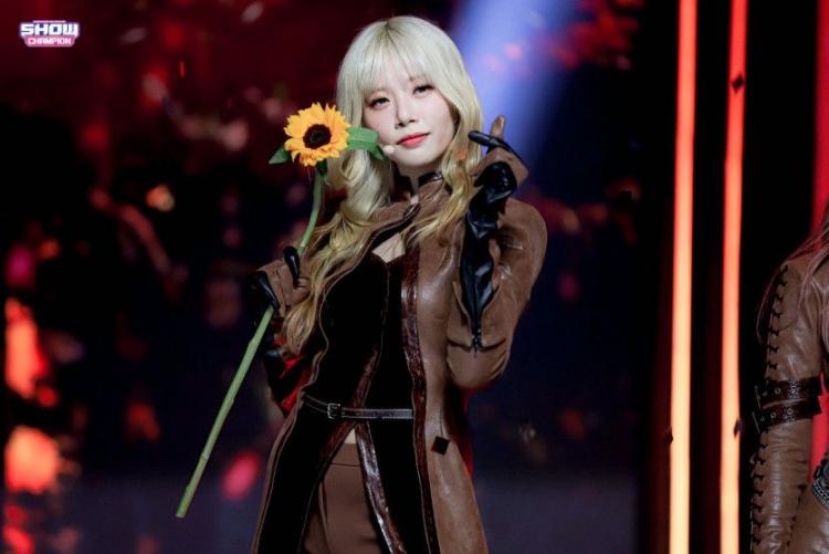DREAMCATCHER JIU0