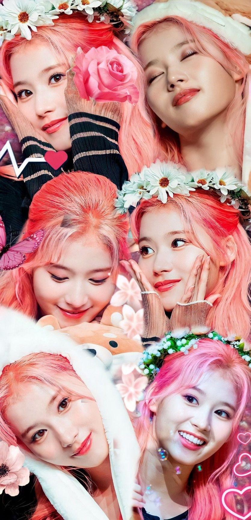 트와이스 사나0