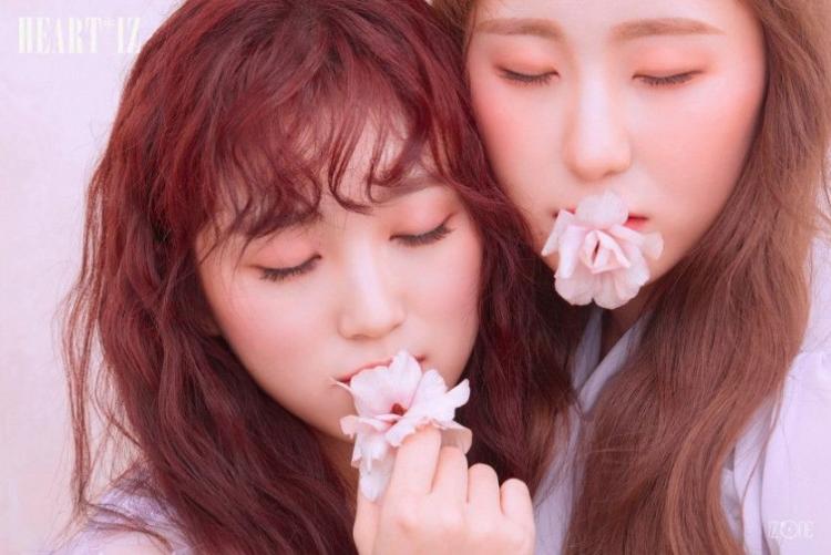 티저 비올레타 아이즈원5