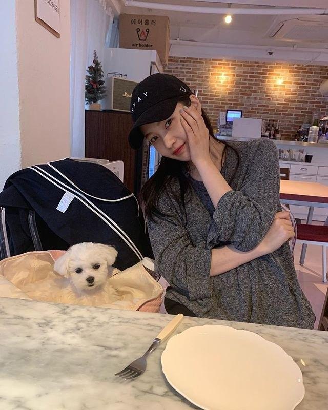 조이인스타0