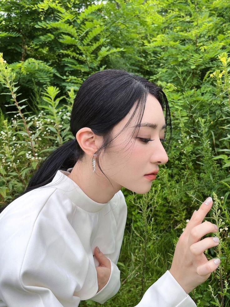 Dreamcatcher SuA1
