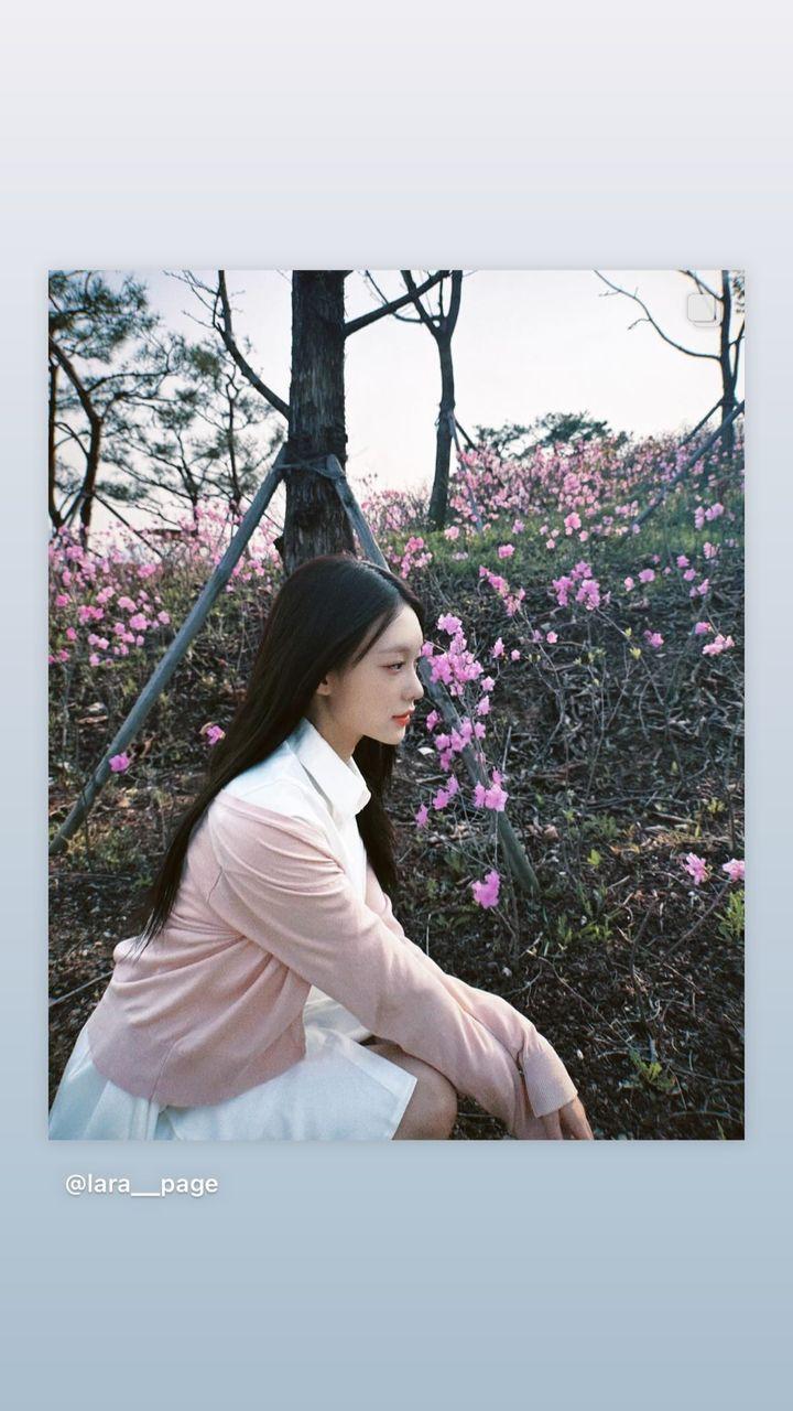 드림노트 라라0