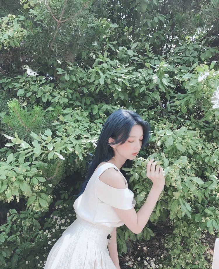 DREAMCATCHER DAMI2