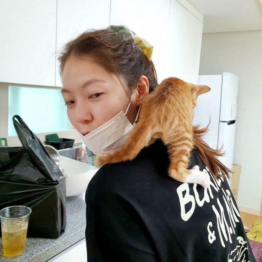 냥냥이와유자매0