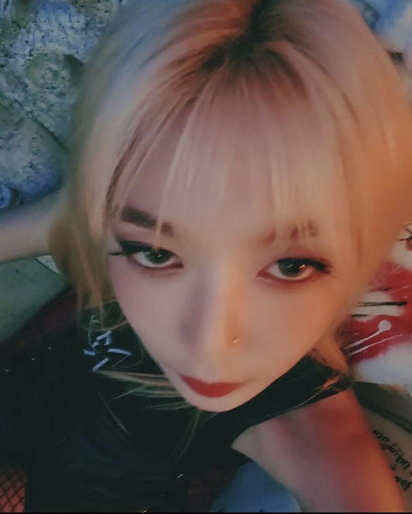 DREAMCATCHER DAMI0