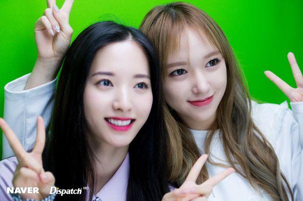 성소 보나0