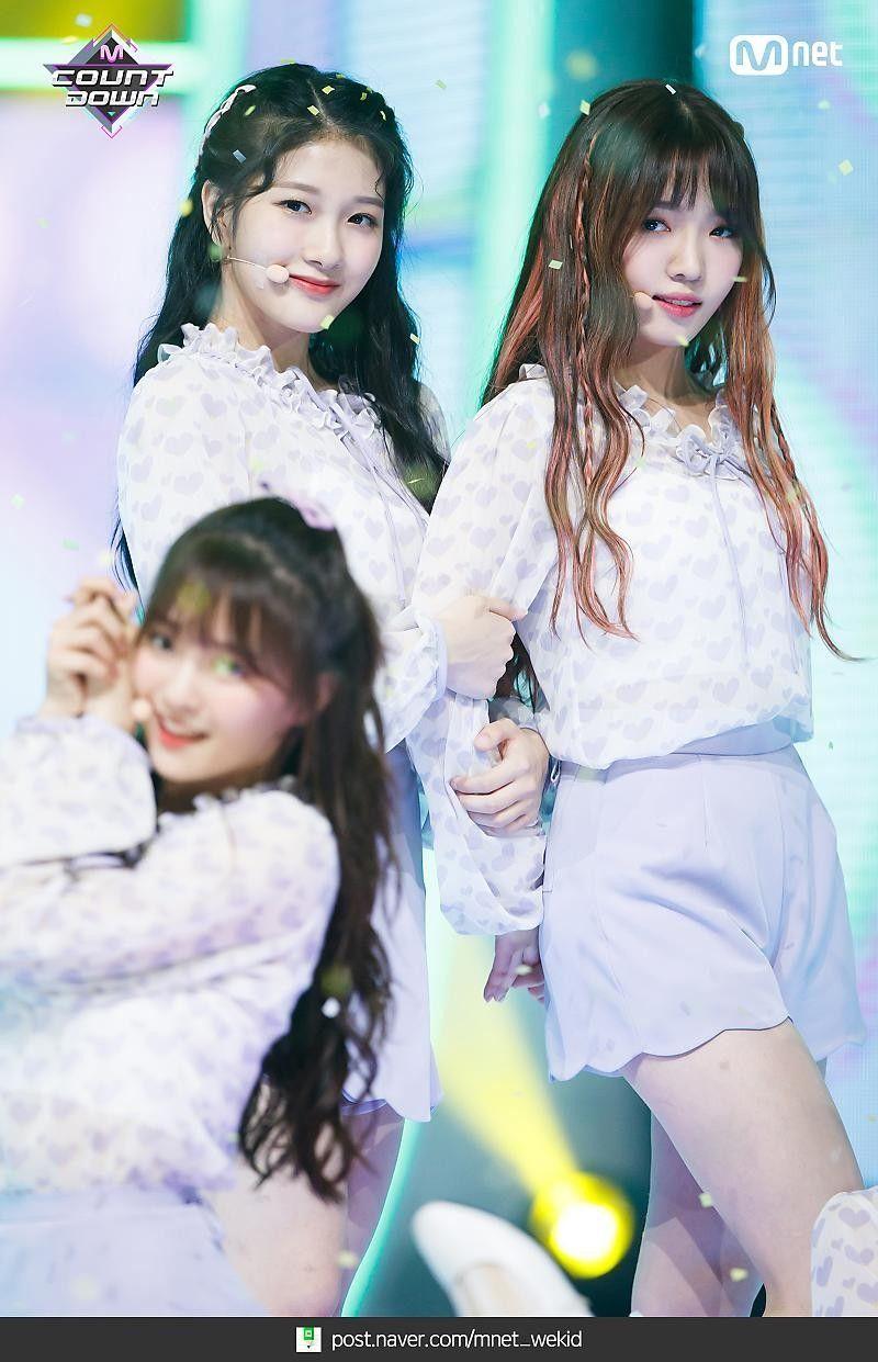 노지선1