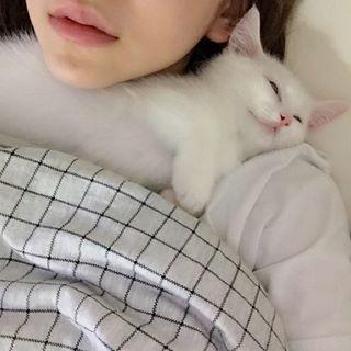 강태리2