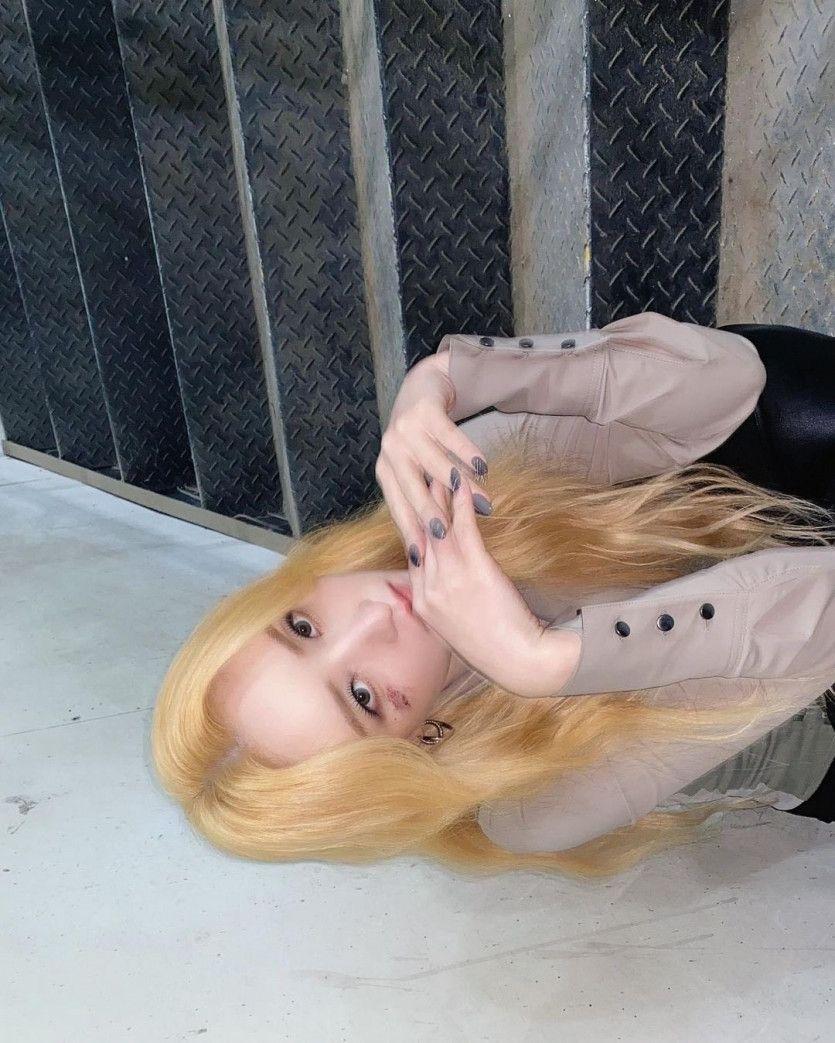 DREAMCTCHER SUA1