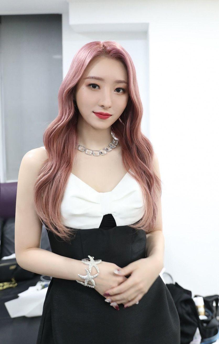 DREAMCTCHER SUA2