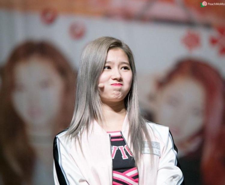 트와이스 사나  <> 꽃게+시바견=?2