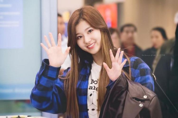트와이스 사나  <> 꽃게+시바견=?8