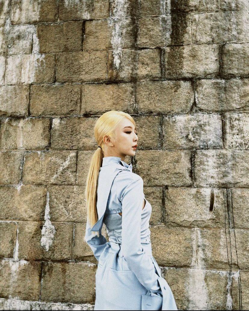 DREAMCATCHER DAMI1