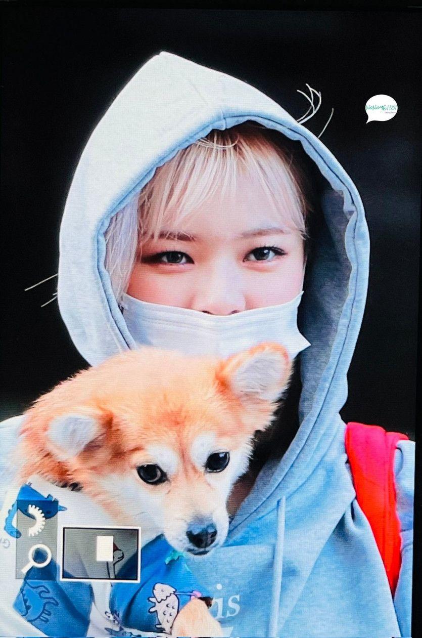 TWICE 정연0