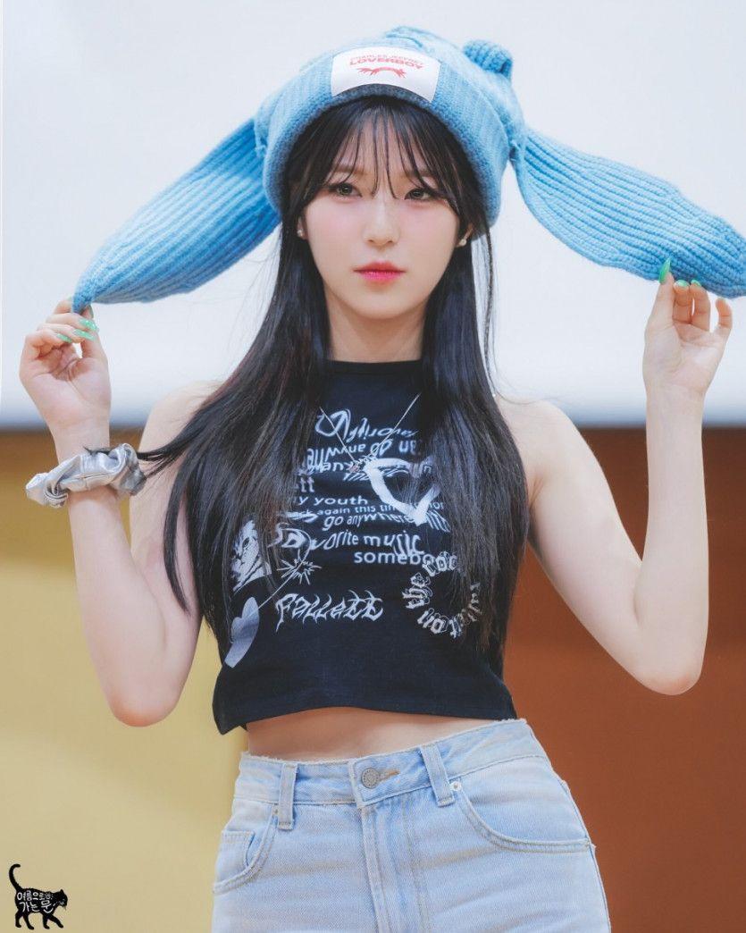 백지헌0