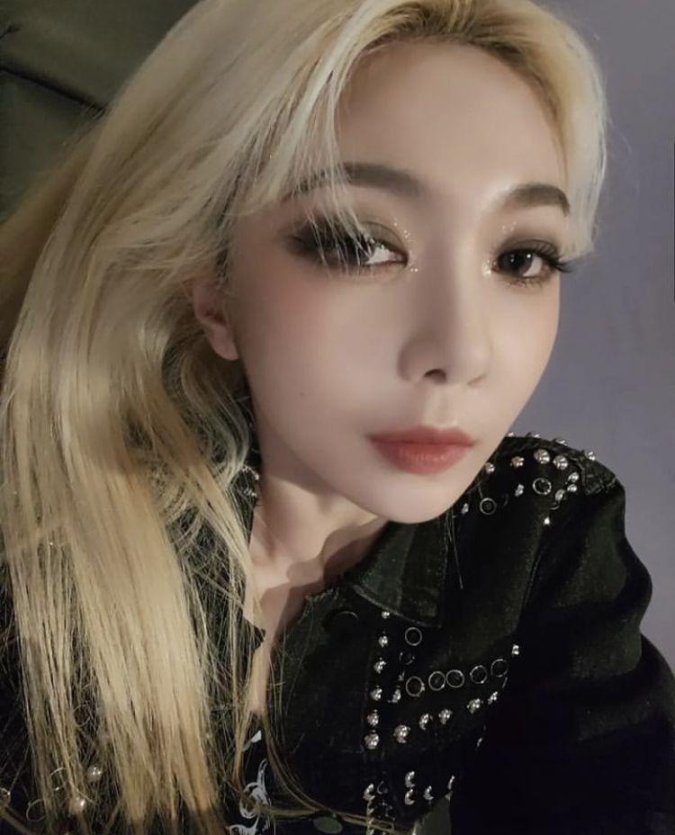 DREAMCATCHER DAMI0