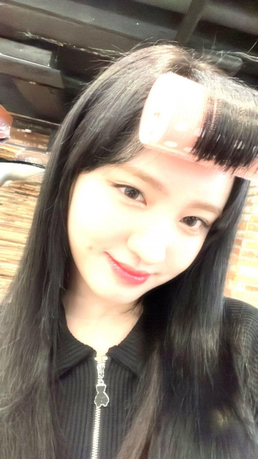 아이브 리즈0