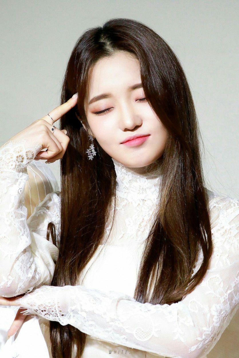 노지선1