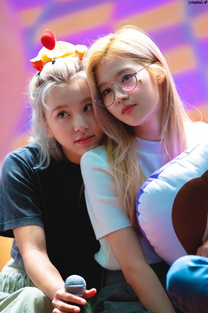 트와이스 사나,채영2