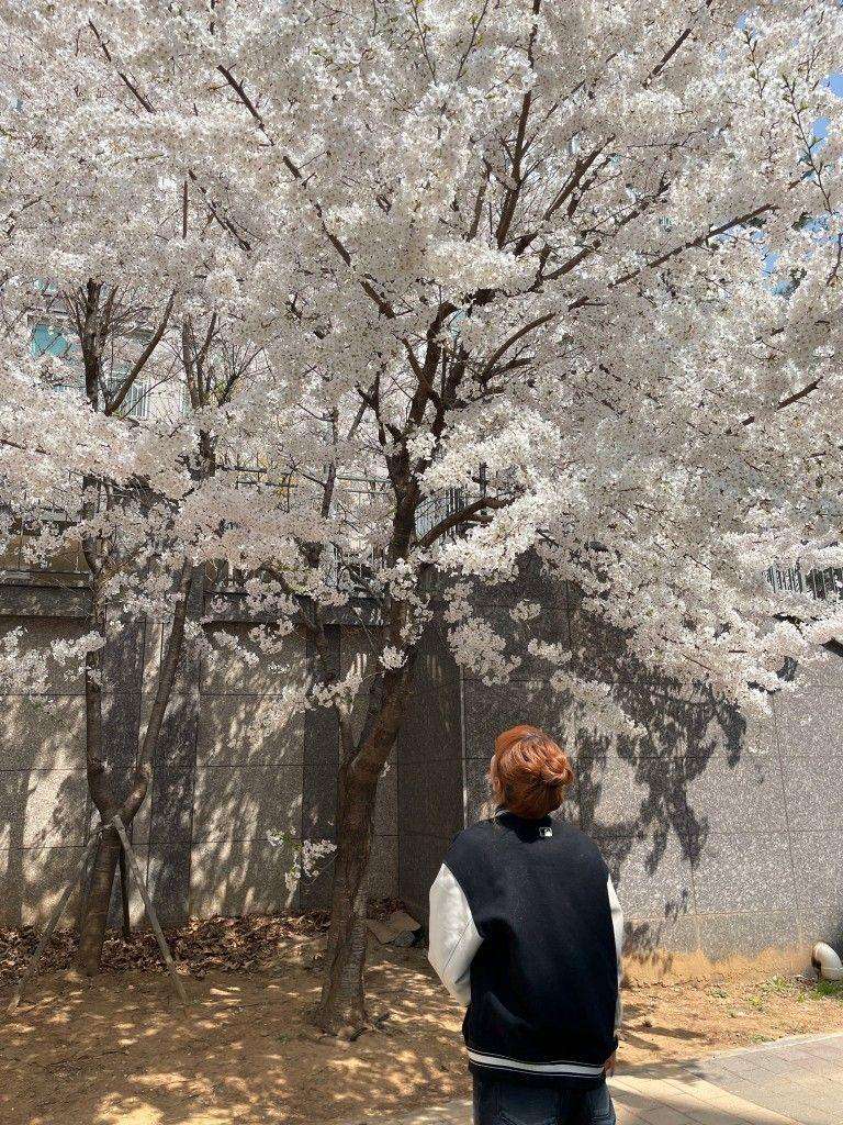 Kep1er Youngeun2