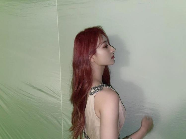 DREAMCTCHER SUA1