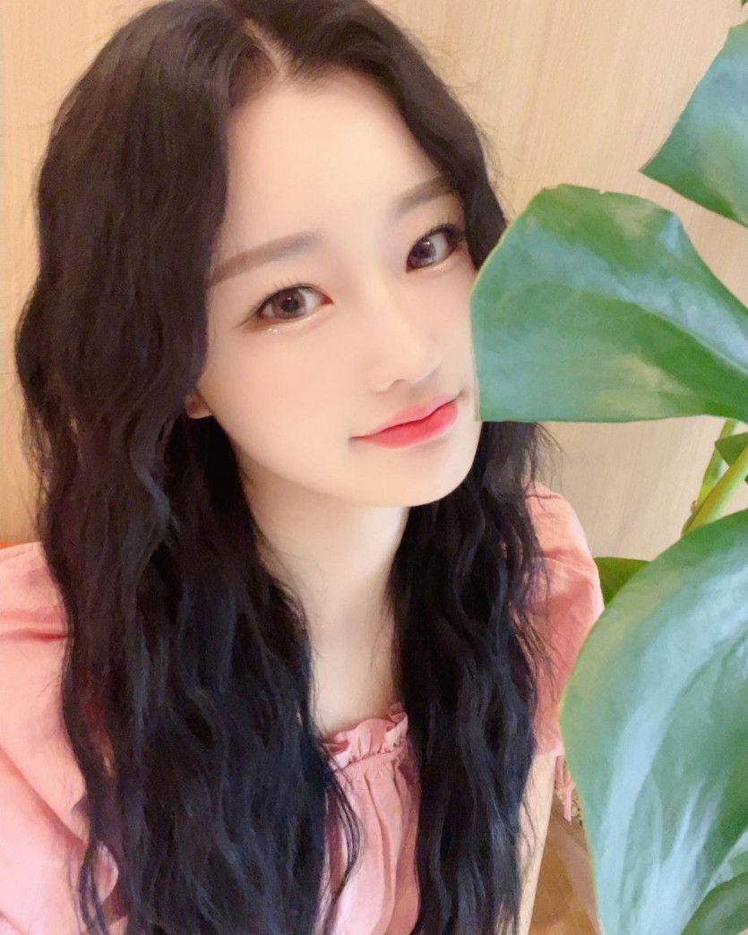 PIXY dajeong2