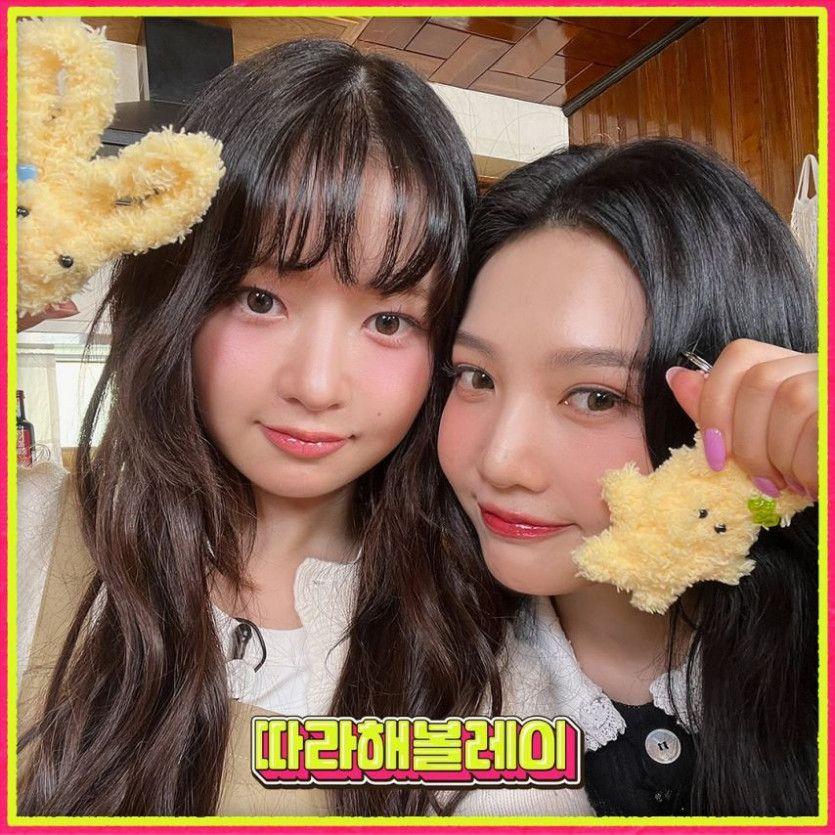 조이,레이0