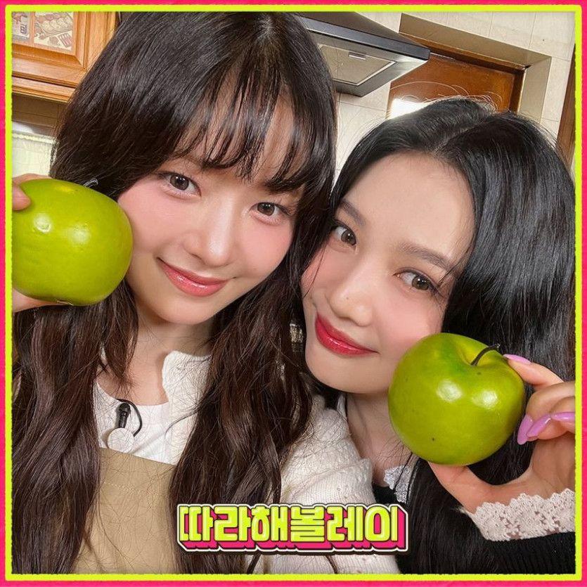 조이,레이3