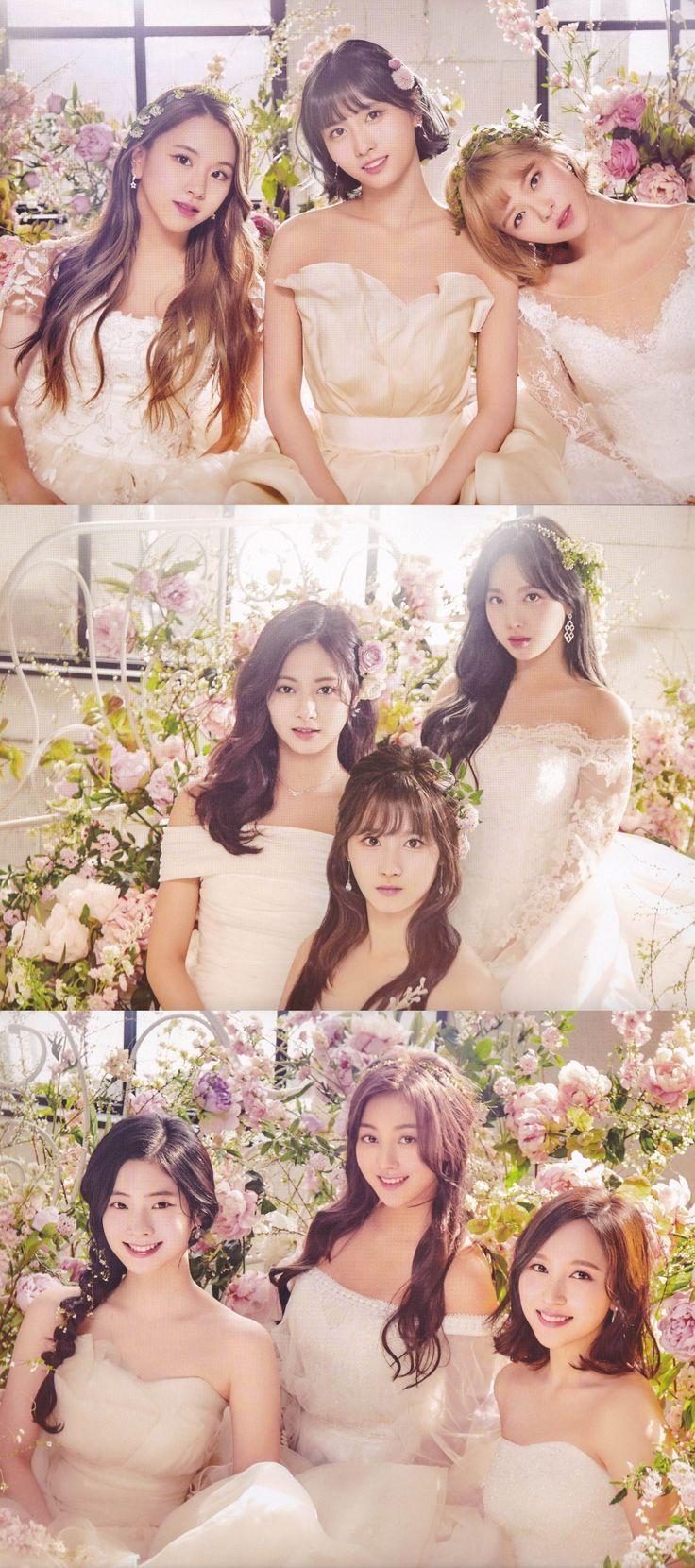 트와이스0