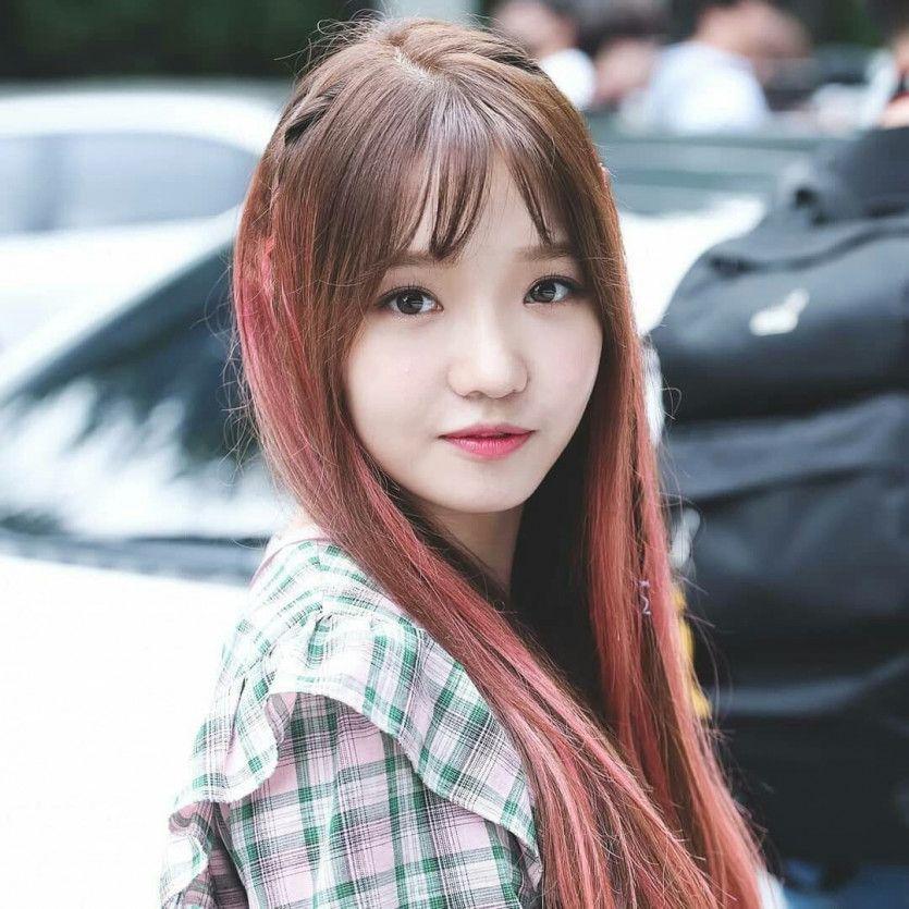 노지선1