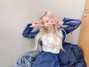 DREAMCATCHER HANDONG4