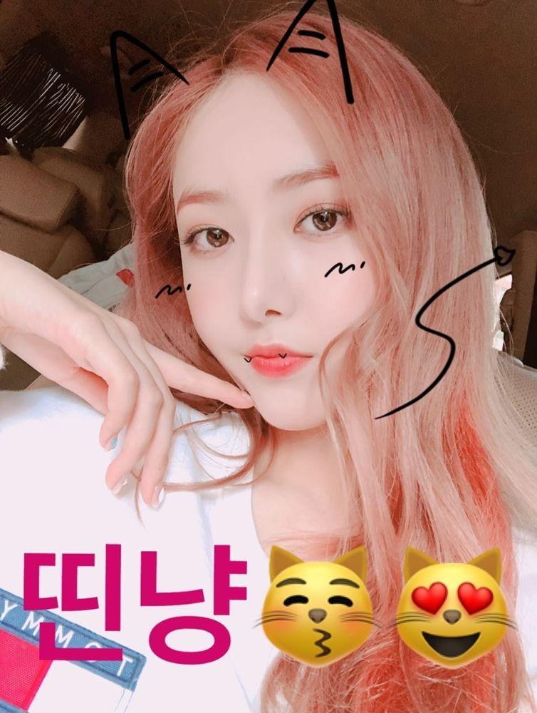분홍신비 인스타스토리 + 예린 프롬0