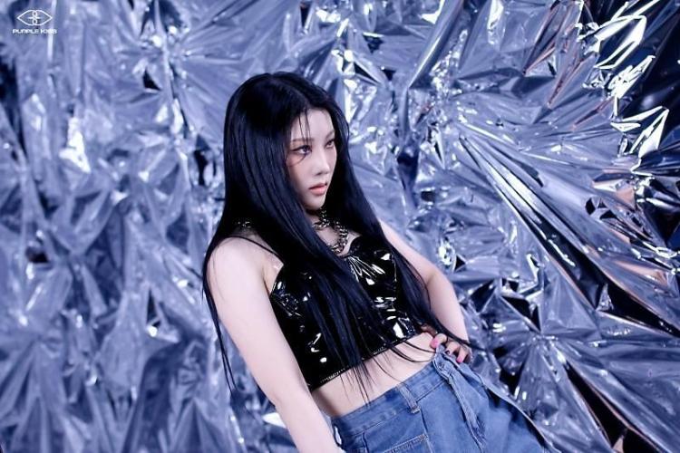 PURPLE K!SS CHAEIN1