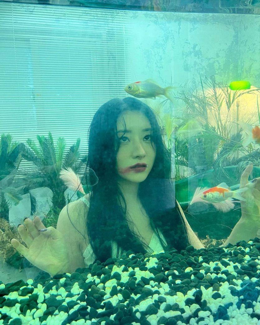 Dreamcatcher 수아3