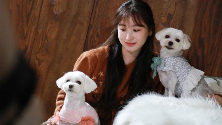 이채연3