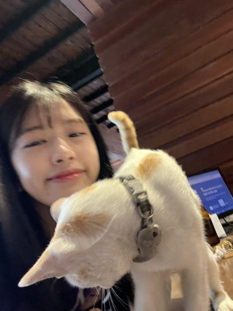 IVE 안유진1