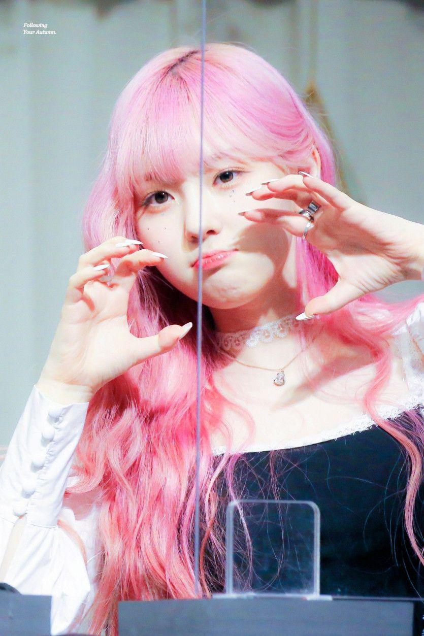 케플러 김채현0