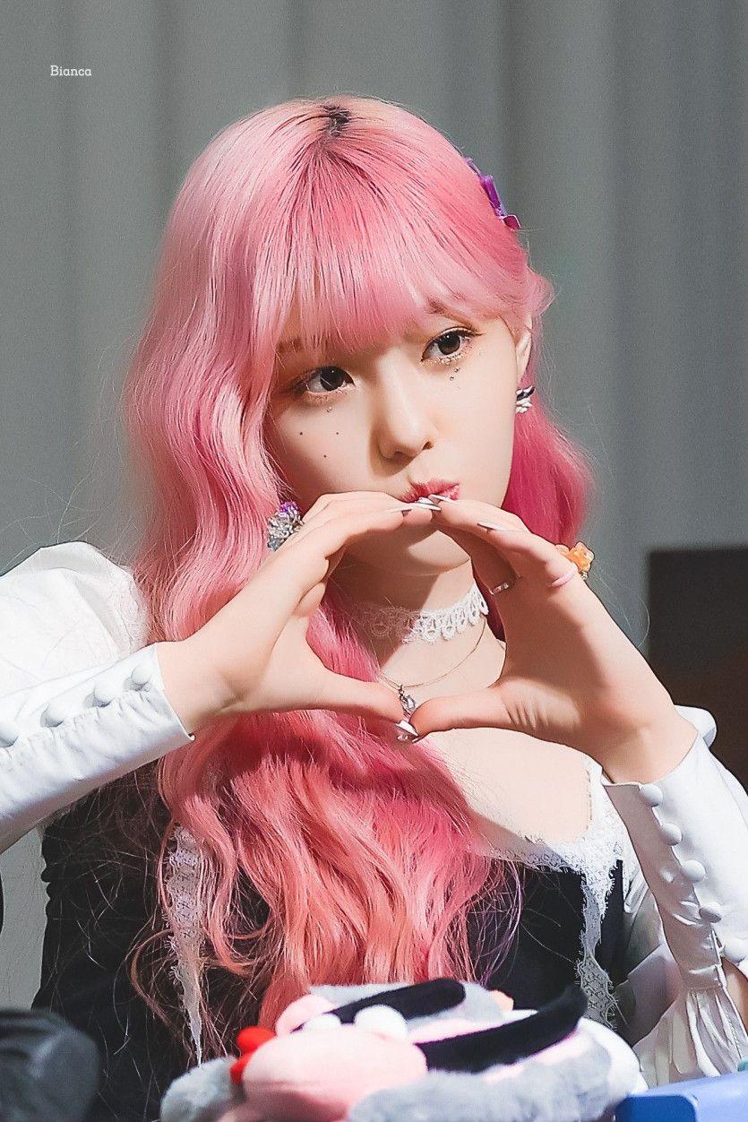 케플러 김채현1