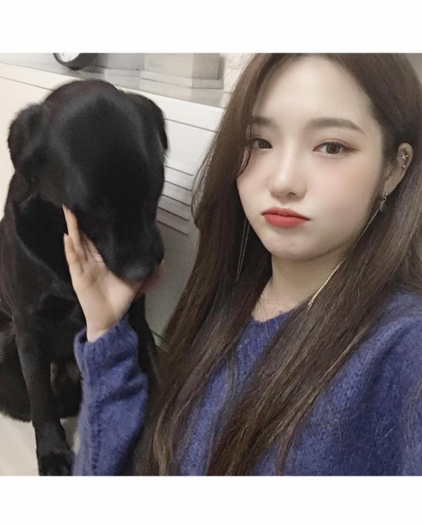 댕댕이들이랑 사진찍은 노지선2
