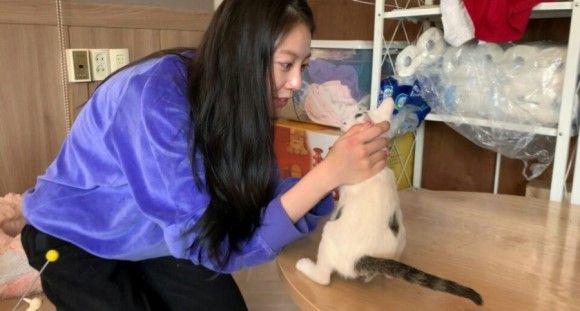 공승연, 정연 평강보호소 봉사1
