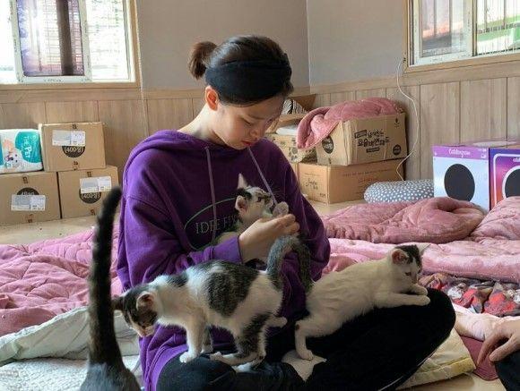 공승연, 정연 평강보호소 봉사3