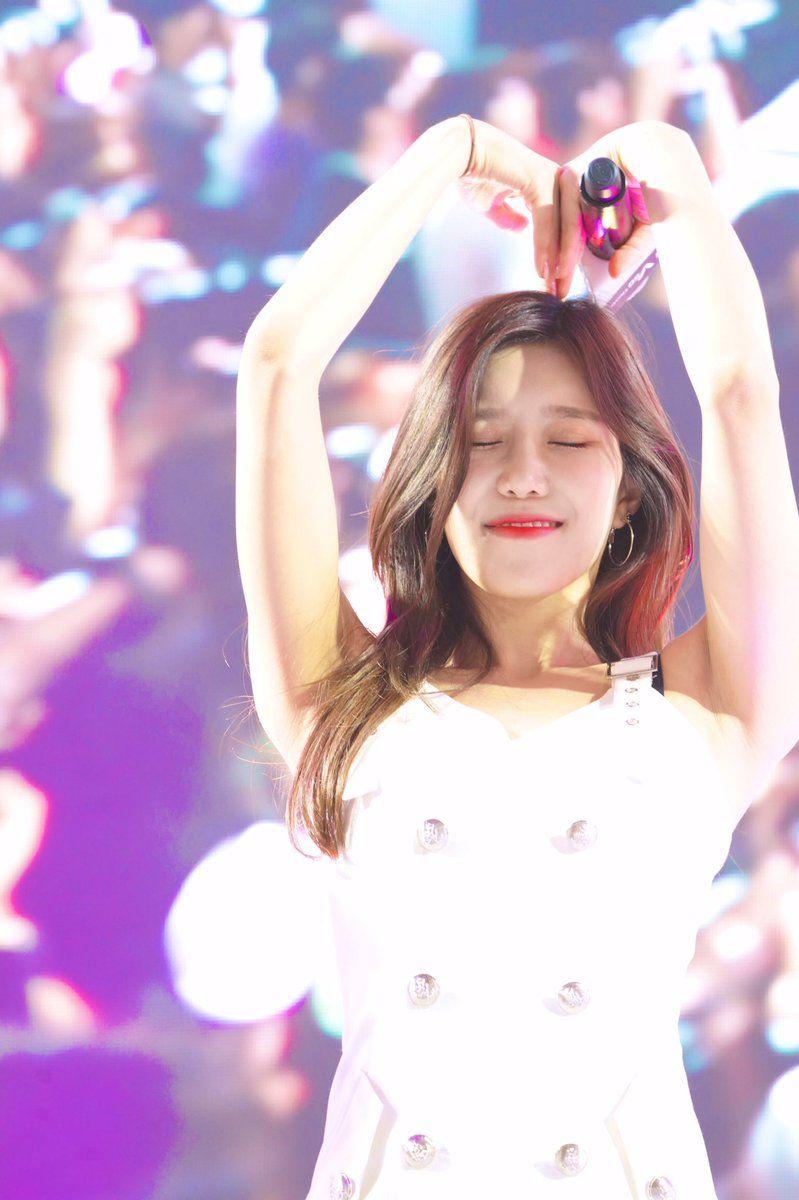 보나 다원4