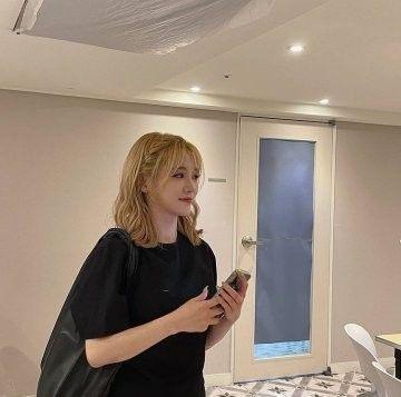 노지선1
