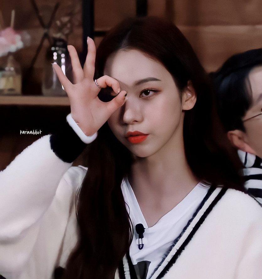 카리나0