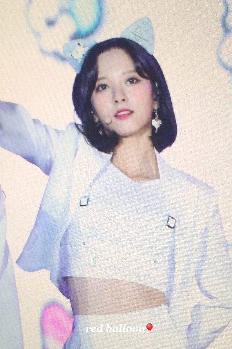 고양이귀 보나0