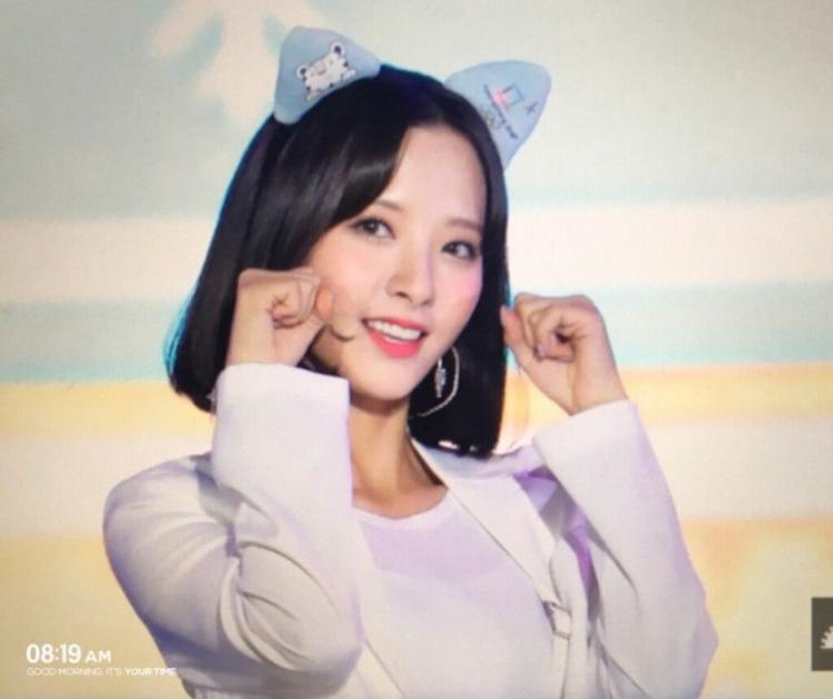 고양이귀 보나1