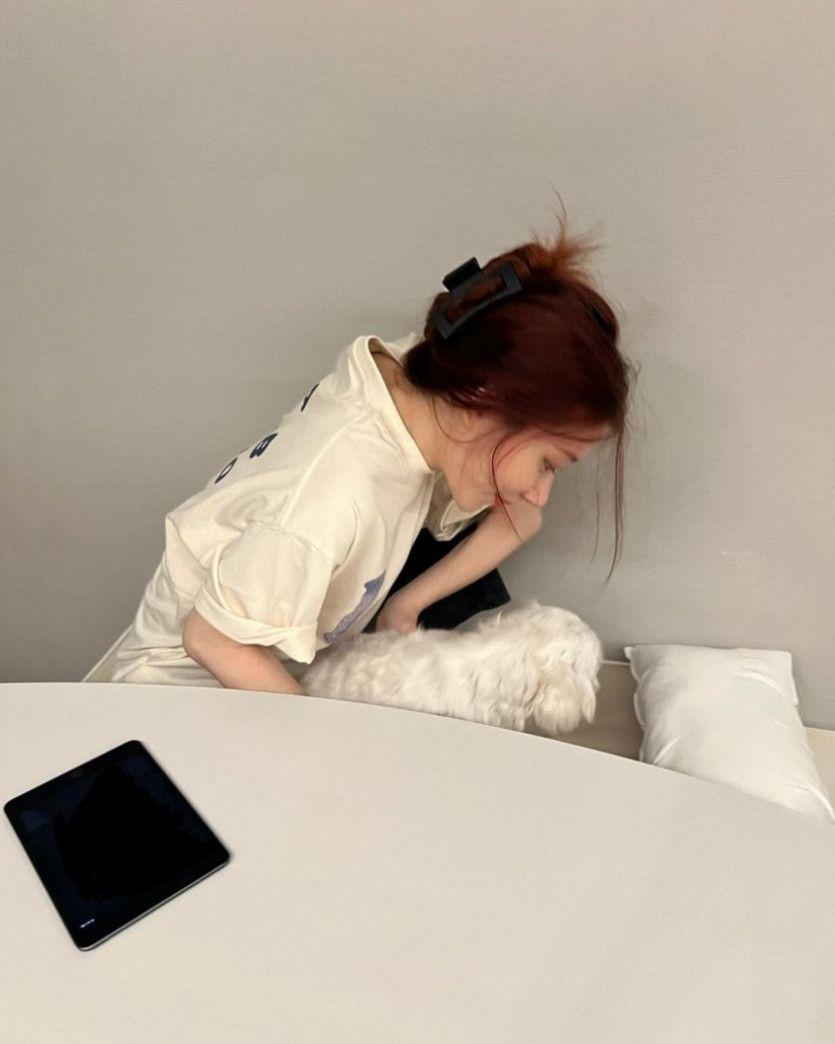 채령 인스타5