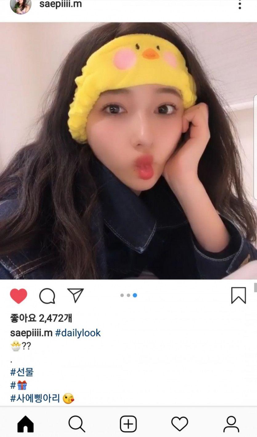 무라세사에 병아리2